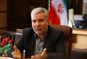 بازدید از نانواییها با جدیت و مستمر انجام شود