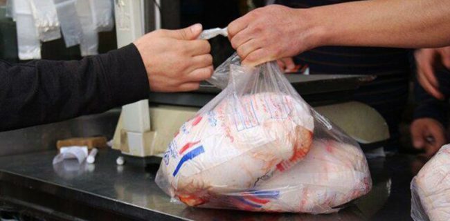 آغاز توزیع ۴۸۰ تن مرغ منجمد با نرخ کیلویی ۱۵۵۰۰ تومانی در آذربایجان شرقی