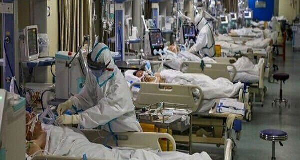 شناسایی ۲۵۳۹ بیمار جدید کرونایی/ ۲۴ نفر دیگر فوت شدند