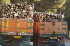خودروهای حمل‌کننده چوب بدون مجوز در آذربایجان شرقی توقیف می‌شوند