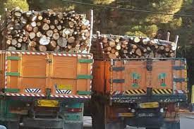 خودروهای حمل‌کننده چوب بدون مجوز در آذربایجان شرقی توقیف می‌شوند