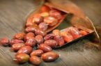 میوه‌ای که جای دارو را می‌گیرد؛ ۱۰ خاصیت شگفت‌انگیز سنجد