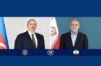 شایعات درباره ریزپرنده‌ها را راستی آزمایی کنید