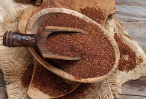 خواص درمانی خاکشیر برای سلامتی
