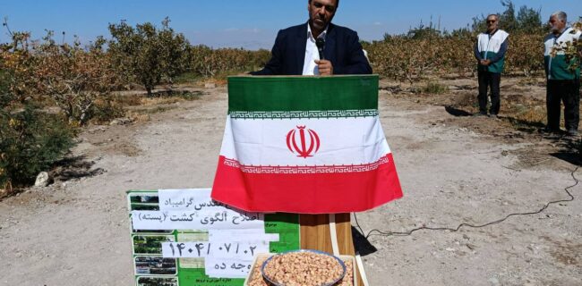 توسعه باغات کم‌آب‌بر در خسروشاه با محوریت پسته