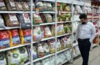 ورود به پرونده گرانفروشان برنج وارداتی؛ الزام درج قیمت روی محصولات