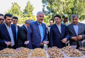 اولین جشنواره بادام خسروشاه امروز برگزار شد