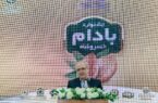 جشنواره بادام، آغاز حرکتی اقتصادی، کشاورزی و فرهنگی در منطقه است