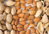 جشنواره بادام خسروشاه؛ فرصتی برای برند‌سازی و رونق اقتصاد محلی