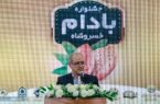 برندسازی بادام، مسیر توسعه کشاورزی منطقه را هموار می‌کند