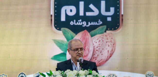 برندسازی بادام، مسیر توسعه کشاورزی منطقه را هموار میکند برندسازی بادام، مسیر توسعه کشاورزی منطقه را هموار میکند