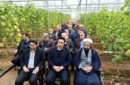 کشاورزی نوین و حرکت به سمت تولید علمی و گلخانه‌ای، ضرورت اقتصادی است