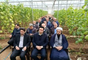 کشاورزی نوین و حرکت به سمت تولید علمی و گلخانه‌ای، ضرورت اقتصادی است