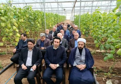 کشاورزی نوین و حرکت به سمت تولید علمی و گلخانهای، ضرورت اقتصادی است