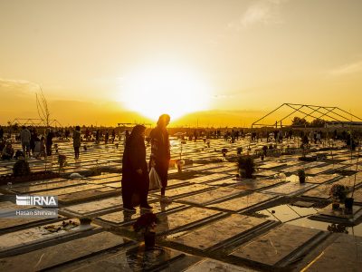 ۲۴۲۷ شهید از ۳۱۱۷ جانباخته
