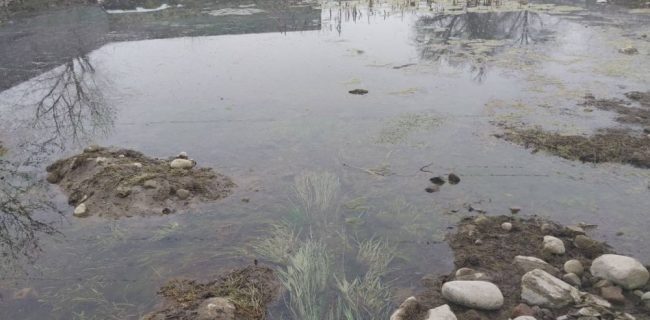 احیای قناتهای خسروشاه؛ قنات دیلمان پس از یک دهه دوباره جان گرفت احیای قناتهای خسروشاه؛ قنات دیلمان پس از یک دهه دوباره جان گرفت