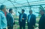 مشارکت مردمی، نقطه قوت بازآفرینی شهری در خسروشاه است