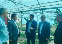 مشارکت مردمی، نقطه قوت بازآفرینی شهری در خسروشاه است