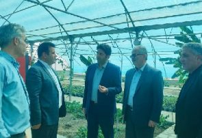 مشارکت مردمی، نقطه قوت بازآفرینی شهری در خسروشاه است