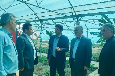 مشارکت مردمی، نقطه قوت بازآفرینی شهری در خسروشاه است