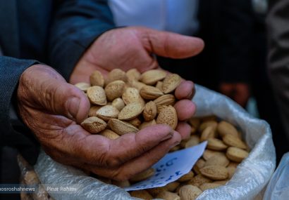 چرا برگزاری جشنواره بادام برای خسروشاه مهم است؟